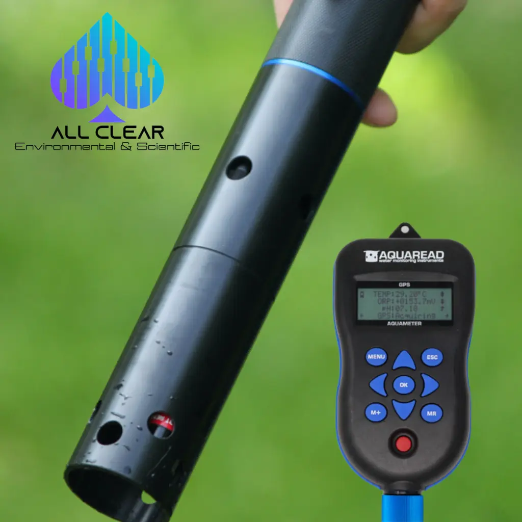 Untitled design (10).webp